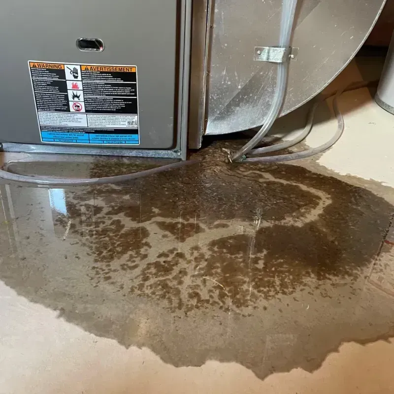 Appliance Leak Cleanup in Belmont Estates, VA